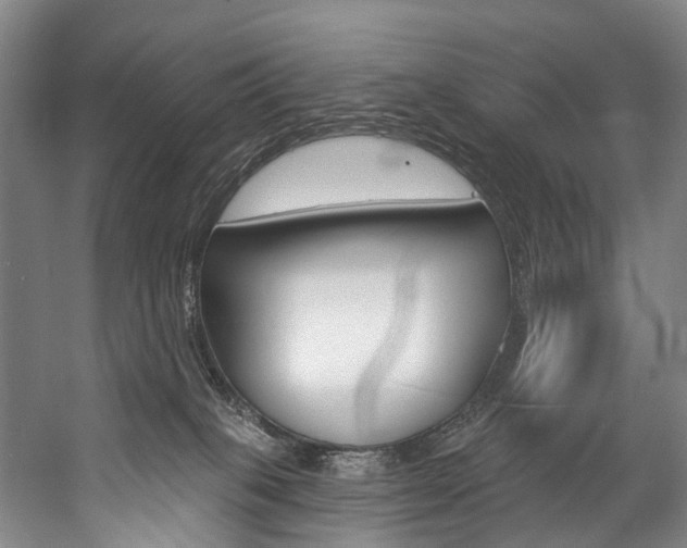 X0000057090085200509090950