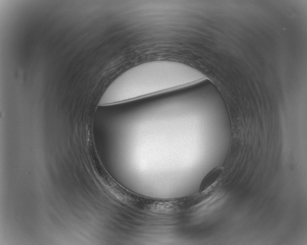 X0000057090086200509090950