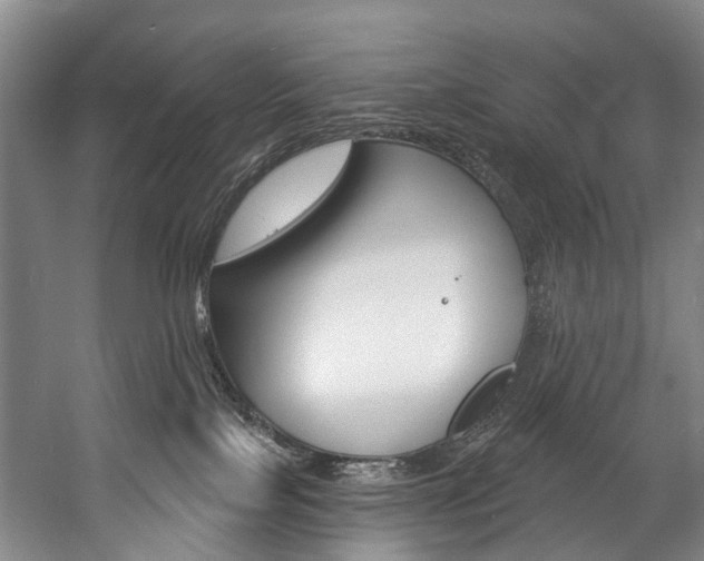 X0000057090089200509090950