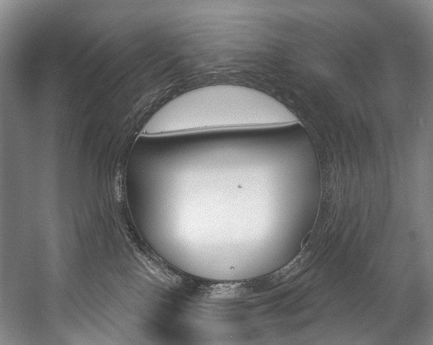 X0000057090090200509090950