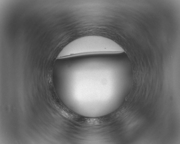 X0000057090091200509090950