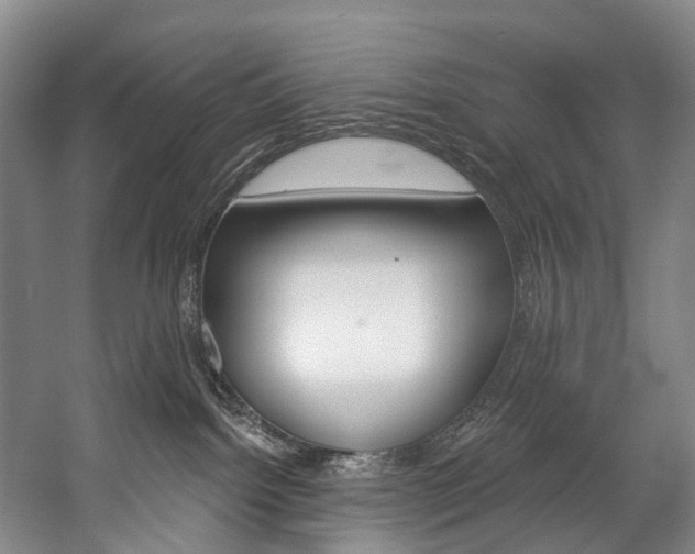 X0000057090092200509090950