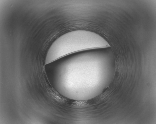 X0000057090093200509090950