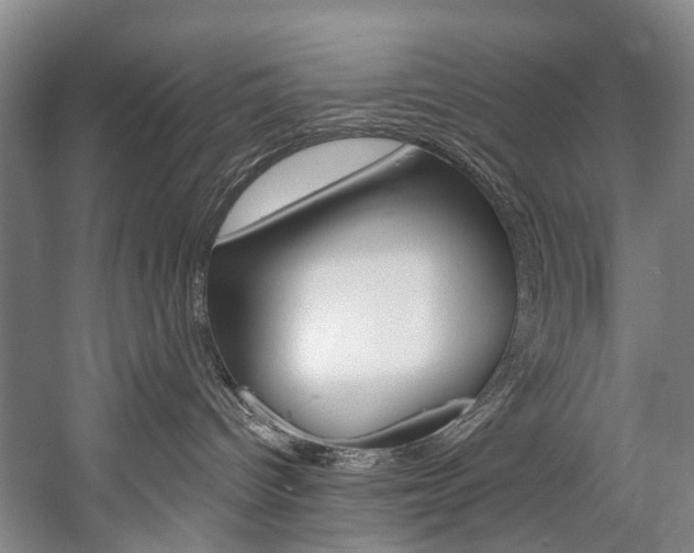 X0000057090096200509090950