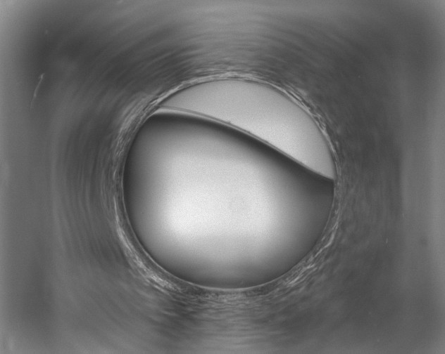 X0000057090097200509090949