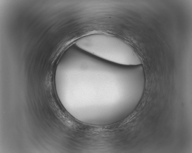 X0000057090098200509090949