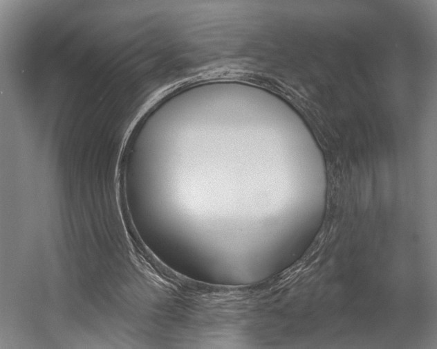 X0000057090100200509090949