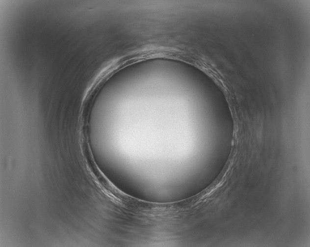 X0000057090101200509090949