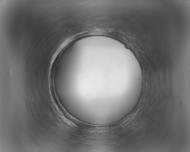 X0000057090102200509090949