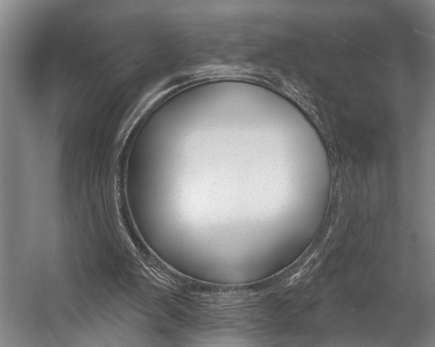 X0000057090103200509090949