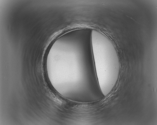 X0000057090104200509090949