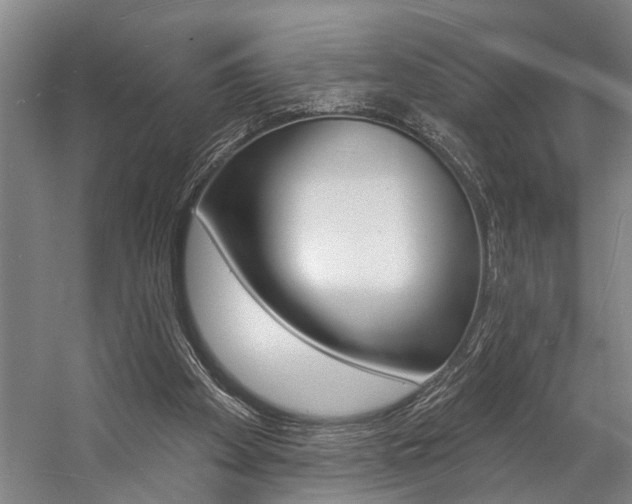 X0000057090105200509090949