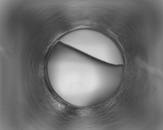 X0000057090106200509090949