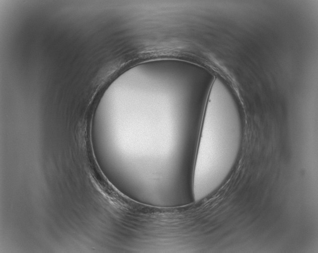 X0000057090107200509090949