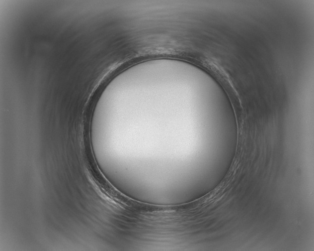 X0000057090108200509090949