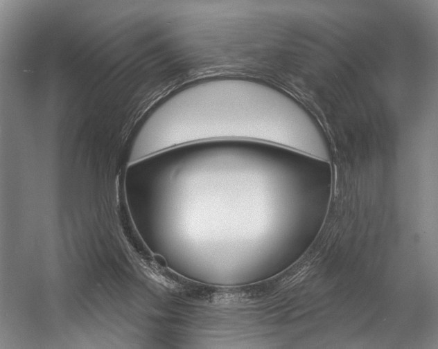 X0000057090109200509090949