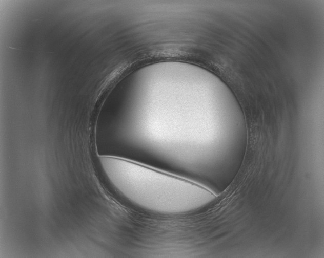 X0000057090111200509090949