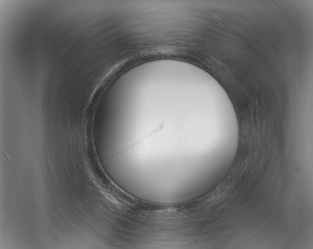 X0000057090112200509090949