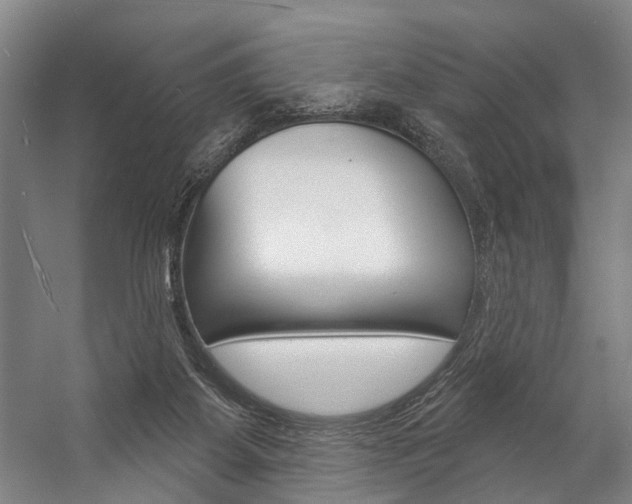 X0000057090115200509090949