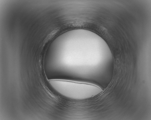 X0000057090116200509090949