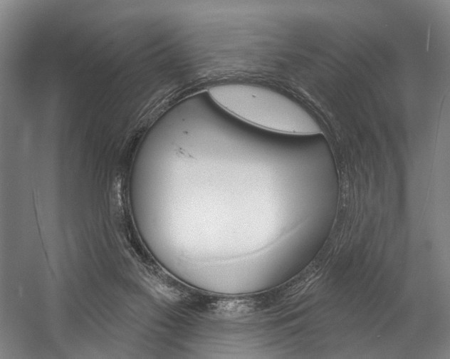 X0000057090117200509090949