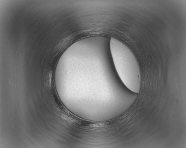 X0000057090118200509090949