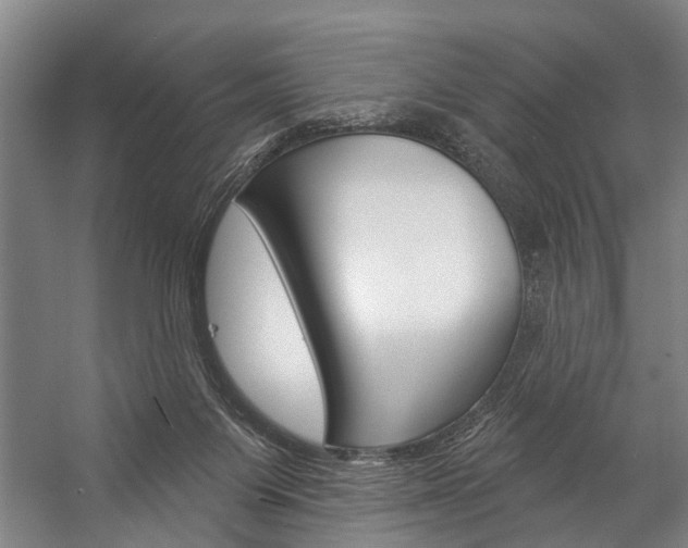 X0000057090119200509090949