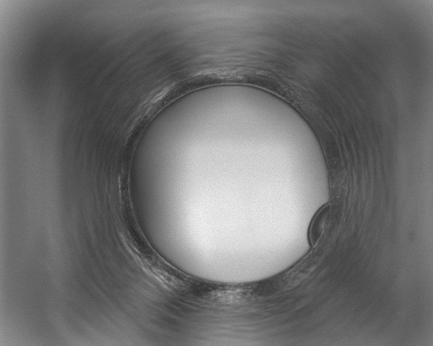 X0000057090120200509090949