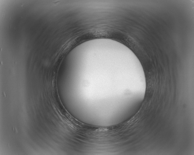 X0000057090124200509090949