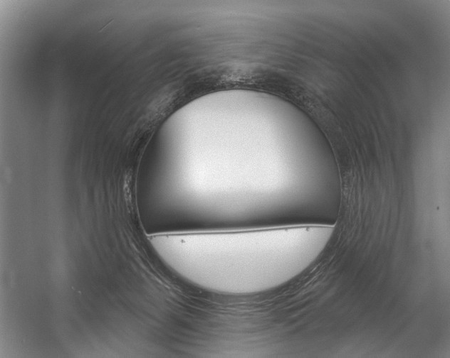 X0000057090127200509090949