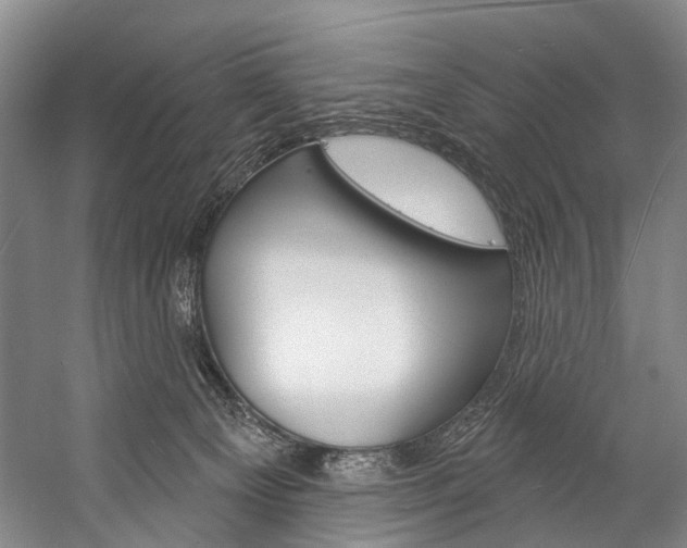 X0000057090129200509090949