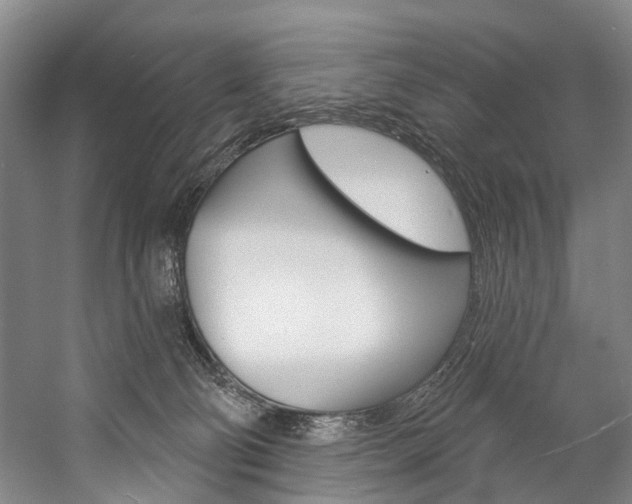 X0000057090130200509090949