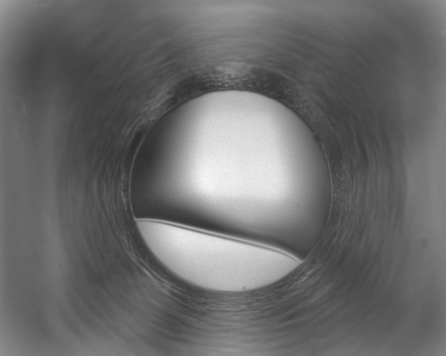 X0000057090131200509090949