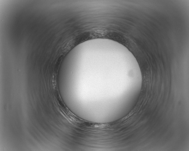 X0000057090134200509090949