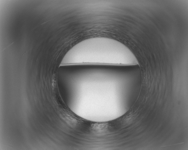 X0000057090135200509090949