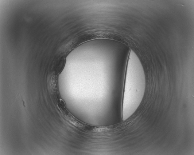 X0000057090137200509090948