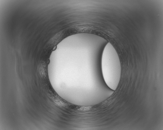 X0000057090138200509090948