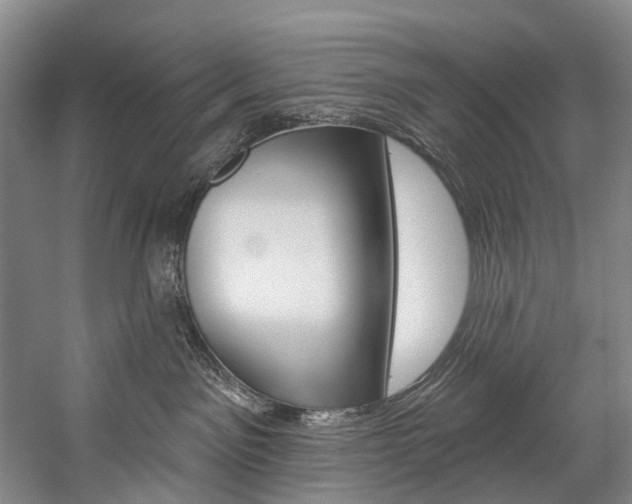 X0000057090141200509090948