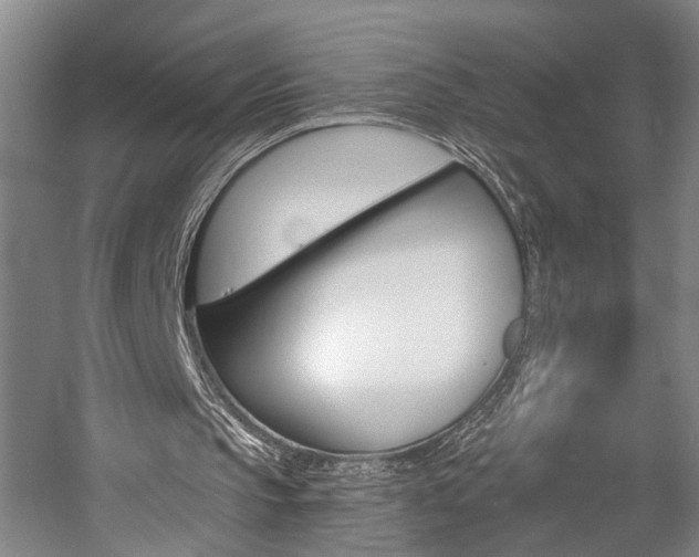 X0000057090145200509090948