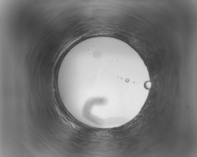 X0000057090146200509090948