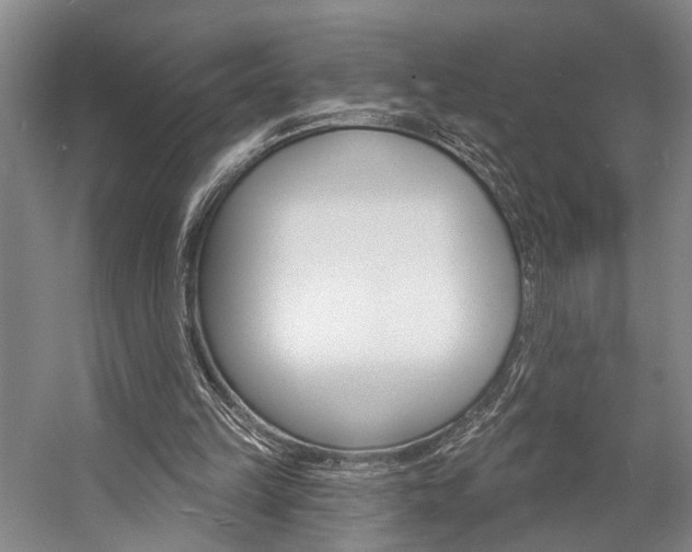 X0000057090149200509090948