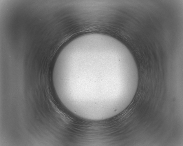 X0000057090164200509090948