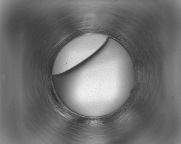 X0000057090165200509090948