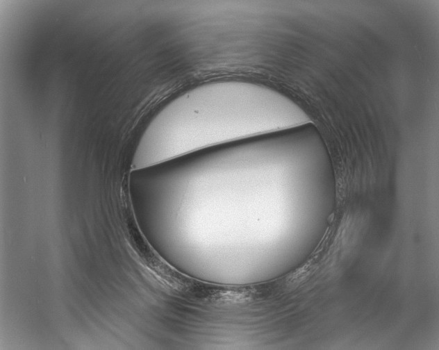 X0000057090166200509090948