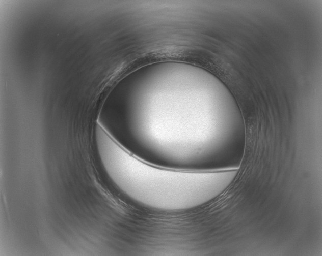 X0000057090168200509090948