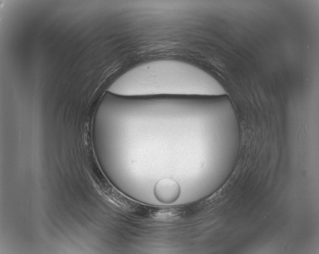 X0000057090171200509090948