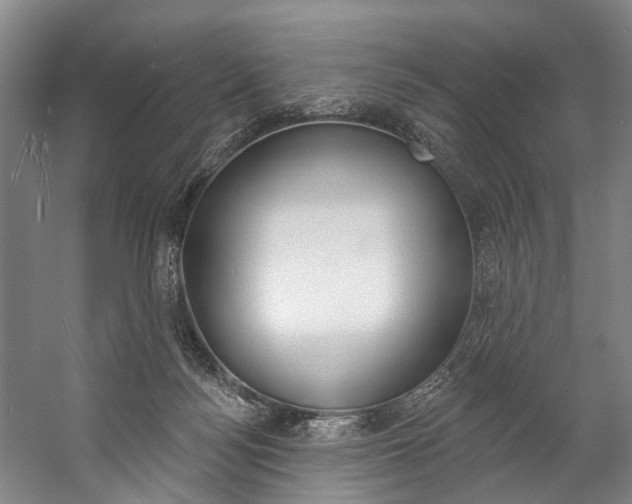 X0000057090172200509090948