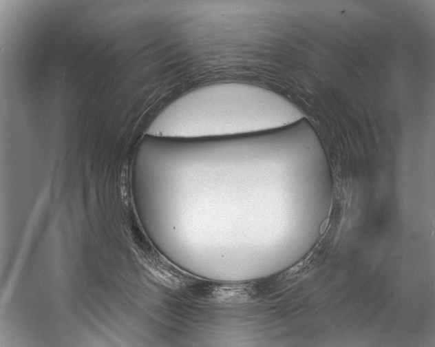 X0000057090175200509090948