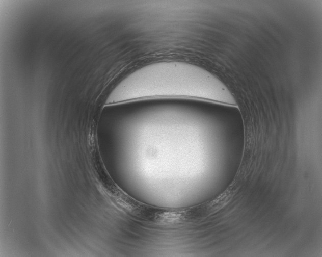 X0000057090176200509090948