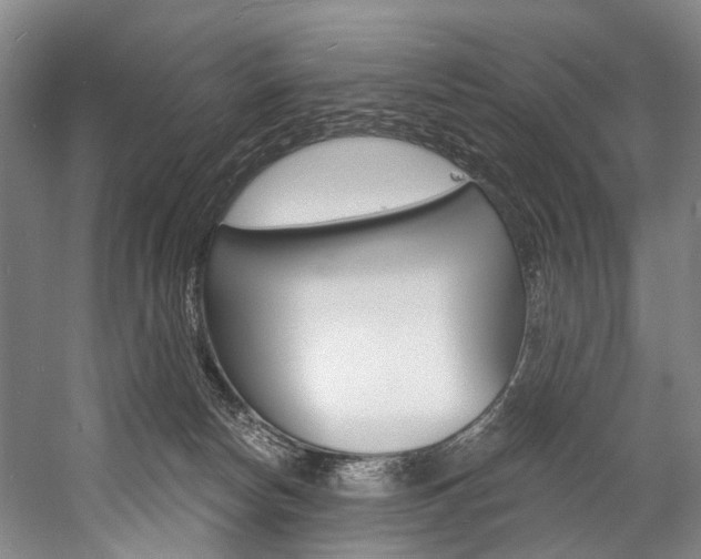 X0000057090178200509090948